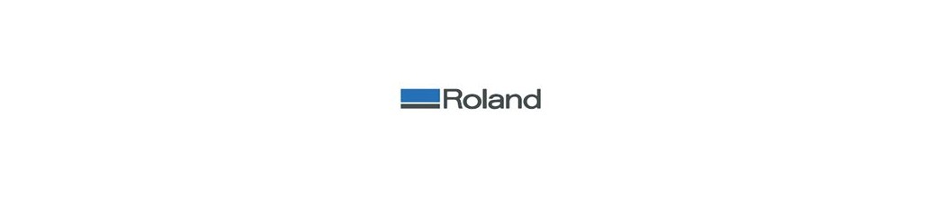 Roland Printhead
